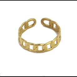 Anartxy - Anello catena