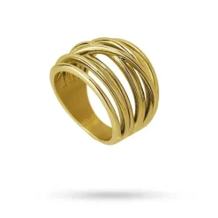 Anartxy - Linee ad anello