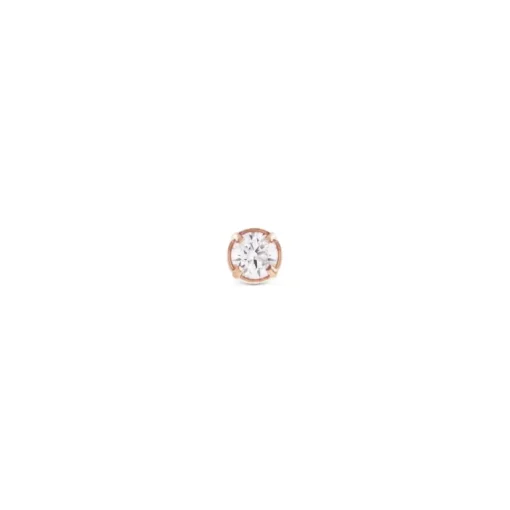 Daniel Wellington - Orecchini Crystal Stud Rose Gold