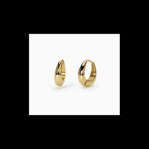 2Jewels - Orecchini in acciaio 316L PVD giallo