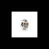 Pandora charm celebrazione d'amore